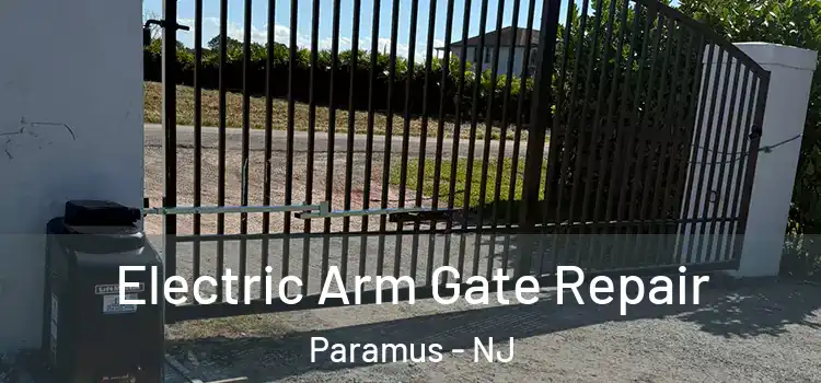 Electric Arm Gate Repair Paramus - NJ